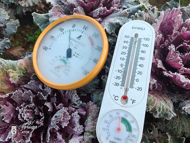 621796299_1426564496182195_2951152638071817120_n