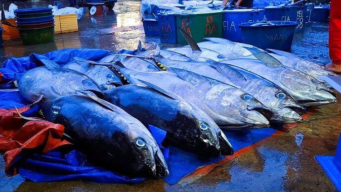 17-philippinen-forum-allgemein-wirtschaft-inside-market-02