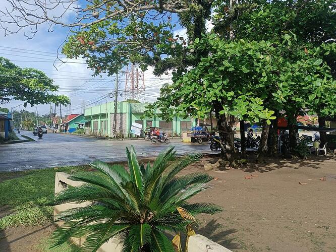 borongan (12)