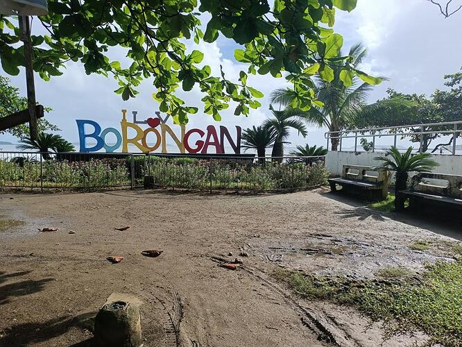 borongan (11)