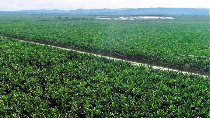 10-philippinen-forum-staedte-tagum-city-02