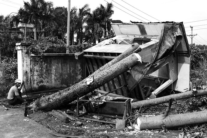 11_05_25taifun 004-Bearbeitet