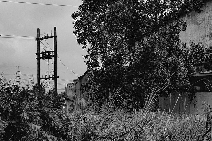 11_05_25taifun 009-Bearbeitet