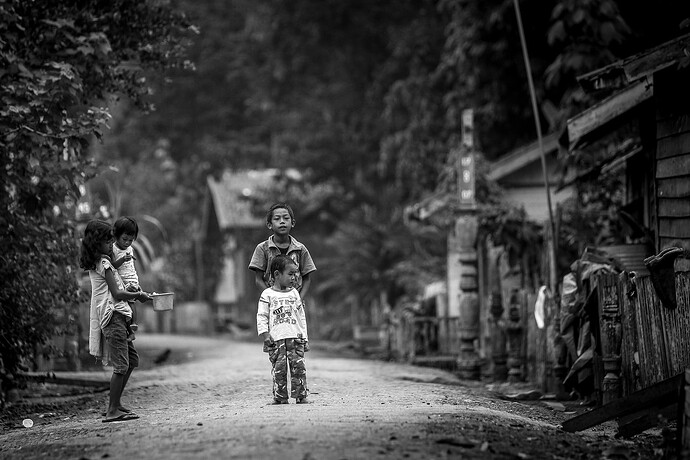 11_06_15Borneo0000033-Bearbeitet