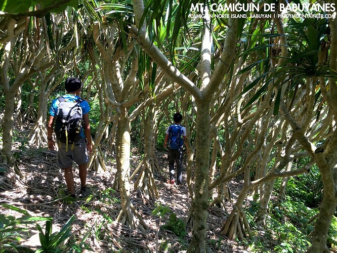 26-philippinen-forum-vulkane-camiguin-de-babuyanes-02
