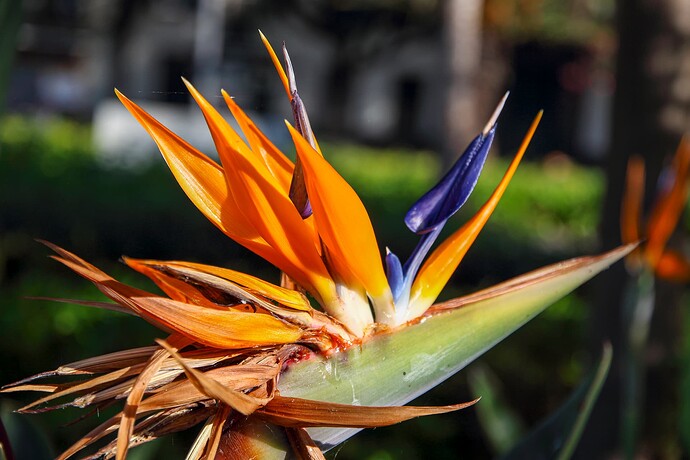 IMG_136584_28042020 final