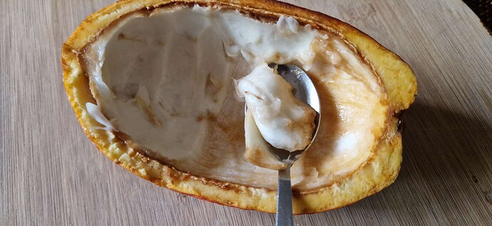 260213-Makato-Fruits-Cocoas-006