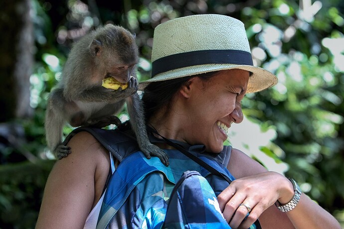 11_04_23BALI00514-Bearbeitet