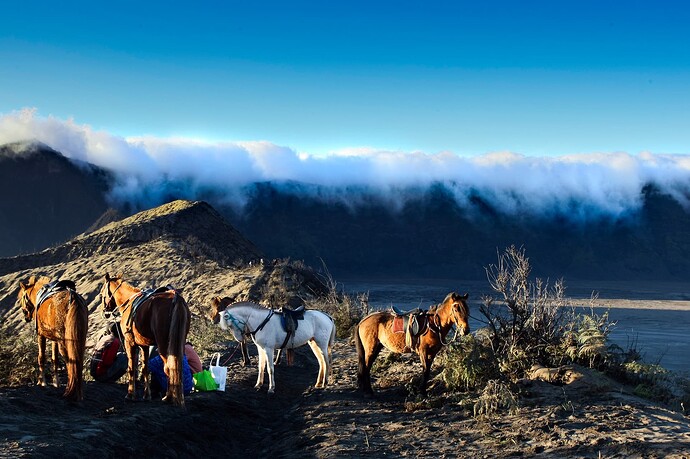 11_06_16Borneo0000319-Bearbeitet