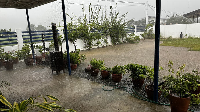 Land unter im Garten