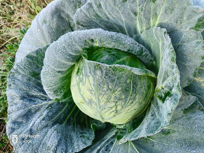 619566014_1426564189515559_809662931477507827_n