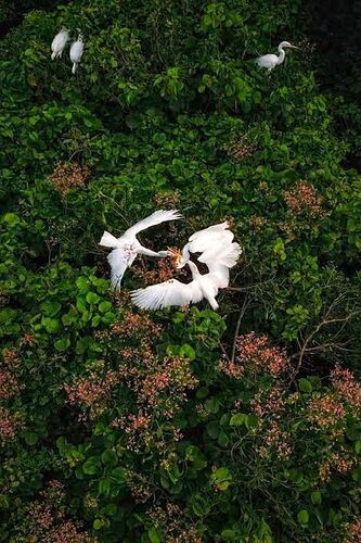 24-philippinen-forum-nationalparks-baras-bird-sancuary-02