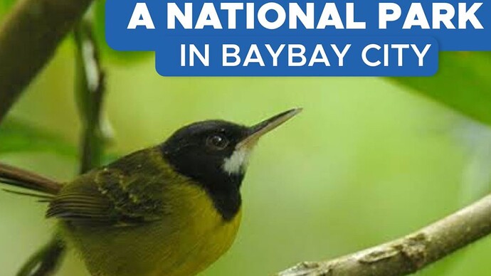 26-philippinen-forum-nationalparks-Kuapnit Balinsasayao National Park