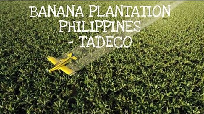 29-philippinen-forum-staedte-panobo-city-03