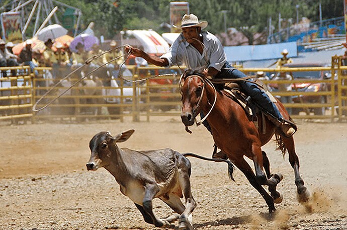 28-philippinen-forum-ausflug-cowboys-von-bukidnon-09