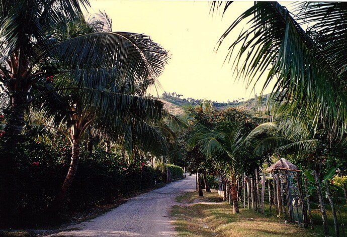 Scan27072026105234_001