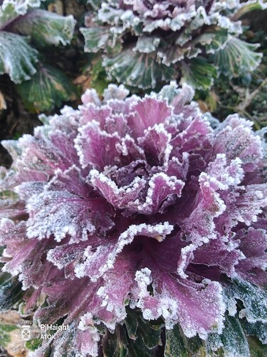 621737130_1426564069515571_1072018321951114376_n