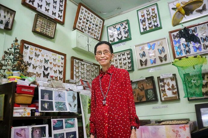 1783070770-Humaida Jumalon inside the family's butterfly museum