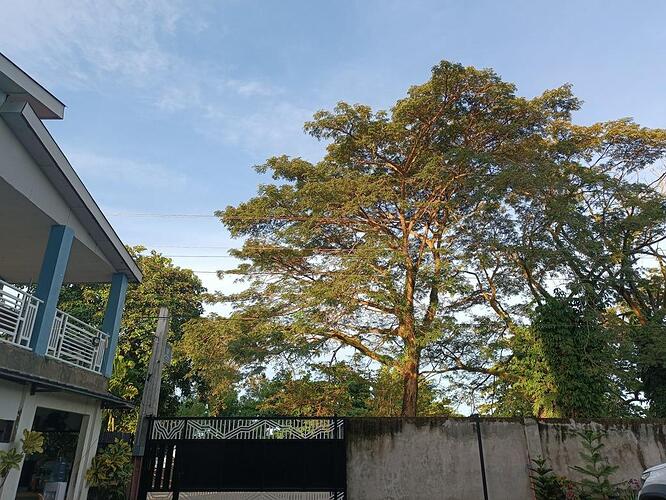 lebak - cotabato (0)