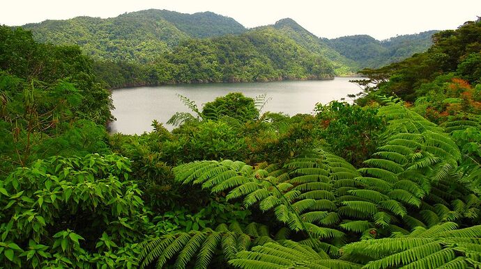 08-philippinen-forum-seen-Balinsasayao-lake-04