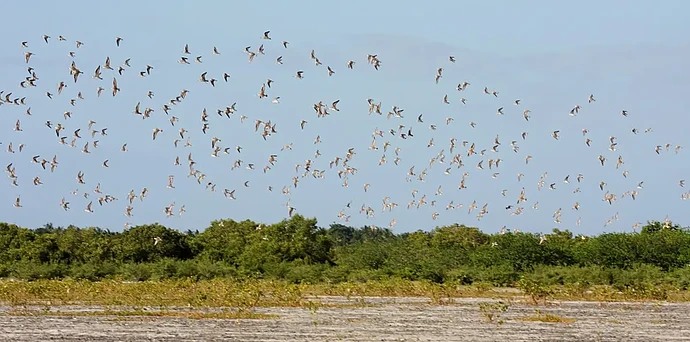 05-philippinen-forum-inseln-olango-islands-03