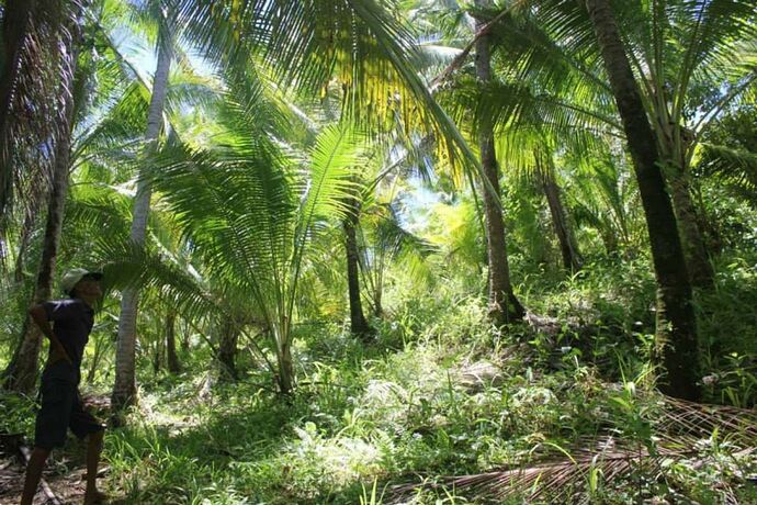 03-philippinen-forum-inseln-kabo-island-01