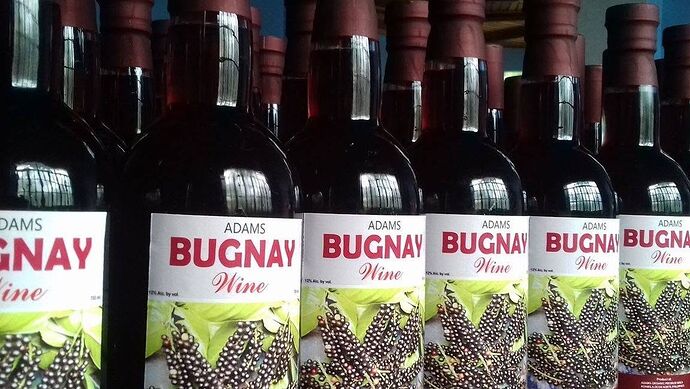 10-philippinen-forum-essen-trinken-bugnay-wine-00
