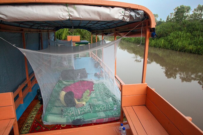 11_06_13Borneo000046-Bearbeitet