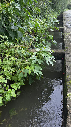Entwässerungskanal