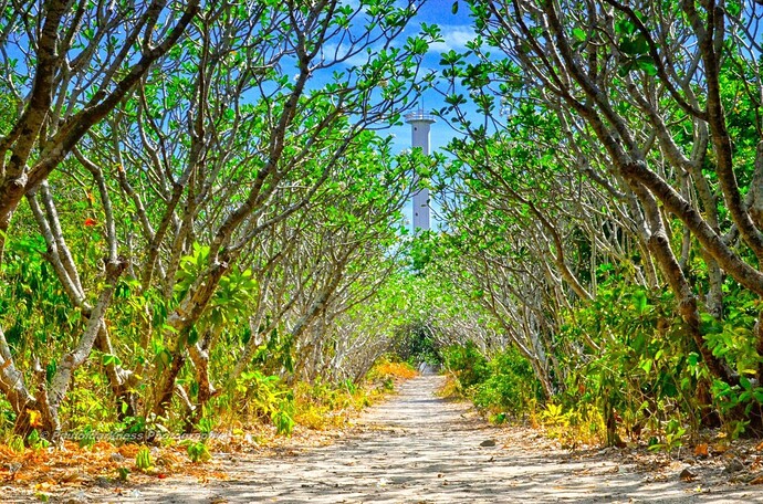 08-philippinen-forum-inseln-nogas-island-antique-01