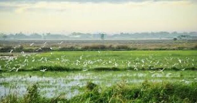 22-philippinen-forum-provinzen-pampanga-01