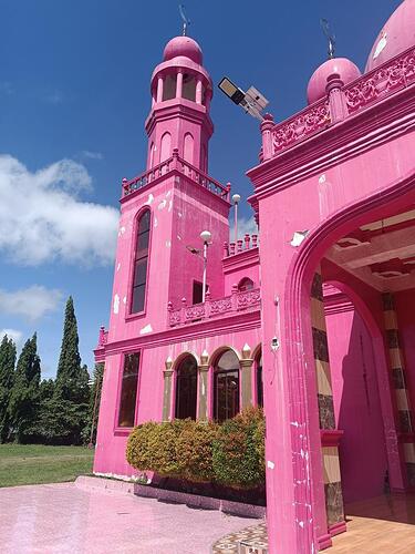 pink mosque (2)