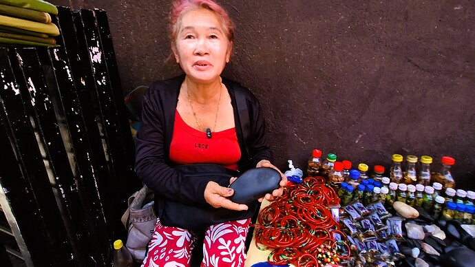 19-philippinen-forum-kultur-herbal-00