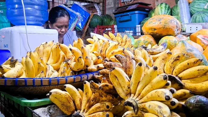 25-philippinen-forum-allgemein-obstmarkt-10