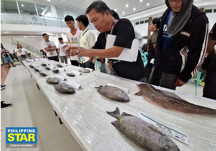 29-philippinen-forum-staedte-san-carlos-city-pangasinan-04