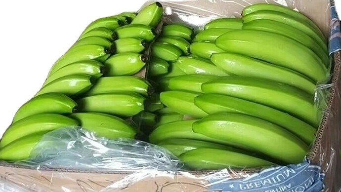 01-philippinen-forum-wirtschaft-cavendish-bananen-export-04