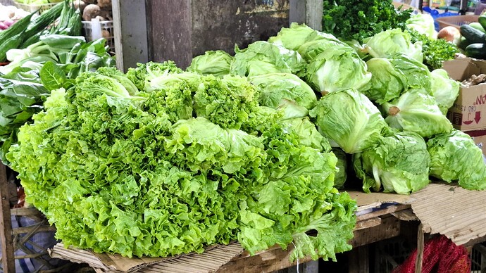 22-philippinen-forum-gemueseabteilung-03