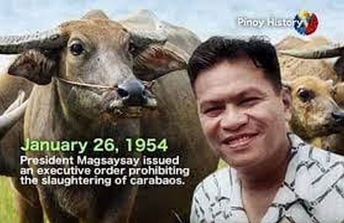 26-philippinen-forum-taegliche-geschichte-magsaysay-carabao-law