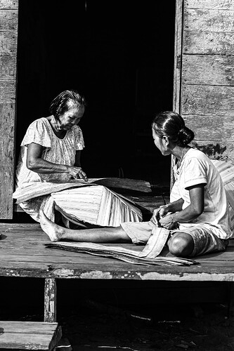 11_06_15Borneo0000286-Bearbeitet