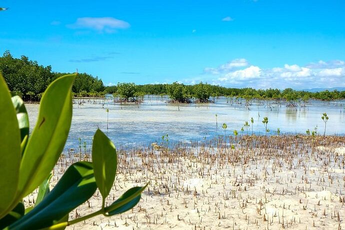 05-philippinen-forum-inseln-olango-islands-02