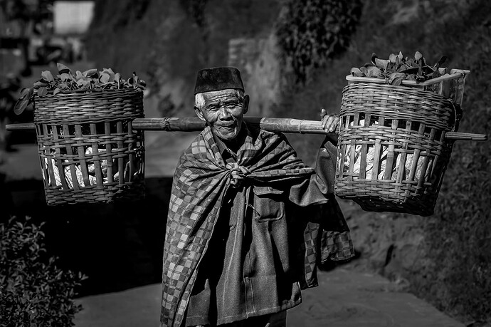 11_06_19Borneo000137-Bearbeitet