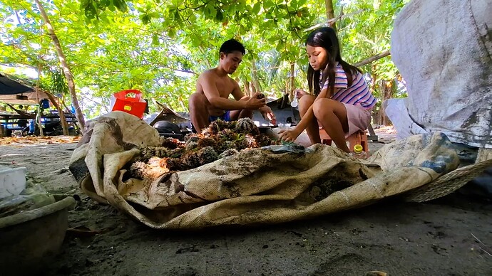 15-philippinen-forum-reiseberichte-mangnao-strand-dumaguete-07