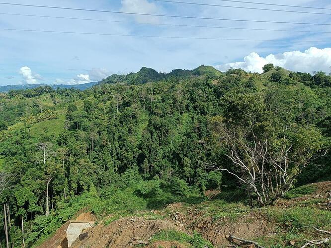 lebak - cotabato (2)