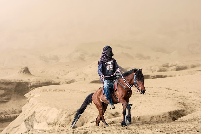 11_06_16Borneo0000581-Bearbeitet