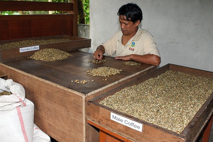 11_04_22Bali00001 129-Bearbeitet