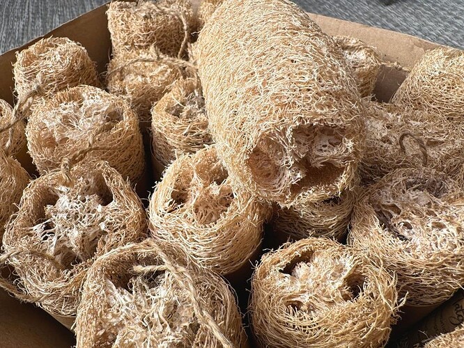 08-philippinen-forum-gemuese-patola-03