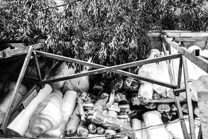 11_05_25taifun 019-Bearbeitet