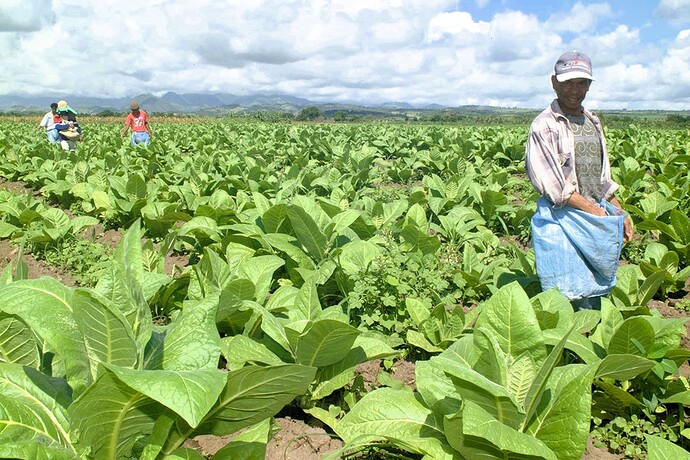 28-philippinen-forum-provinzen-ilocos-norte-05