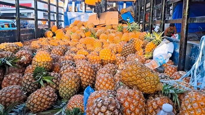 25-philippinen-forum-allgemein-obstmarkt-02