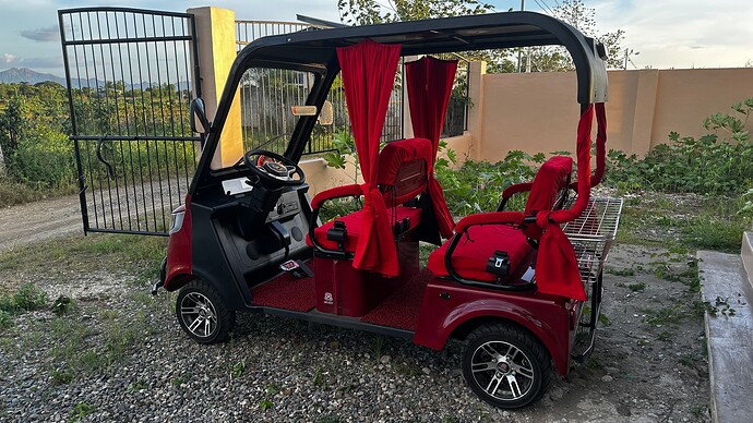 rotschwarz... weil die einzige Alternative gelbschwarz (würg) gewesen wäre...